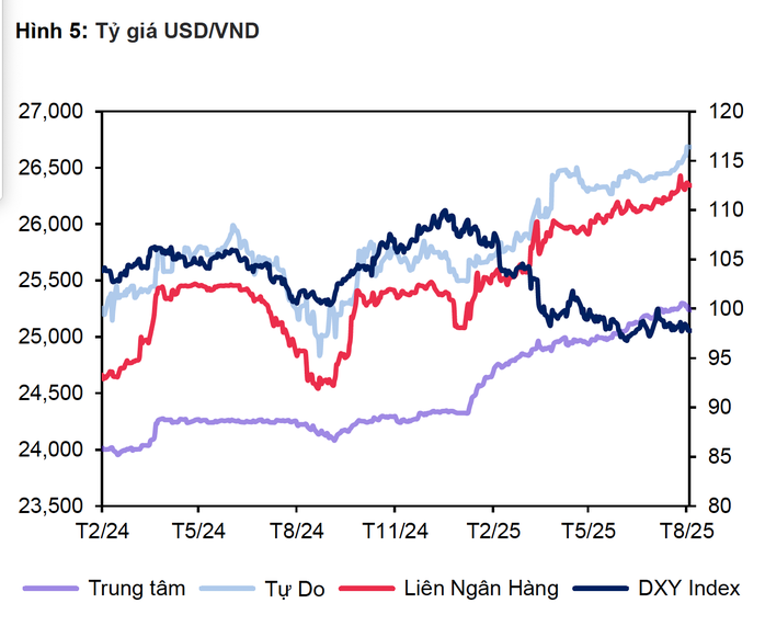 Diễn biến tỉ giá USD/VND thời gian qua. Nguồn: MBS
