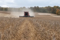 Kinh doanh - Ông Trump tuyên bố sẽ đối đầu Trung Quốc vì điều này