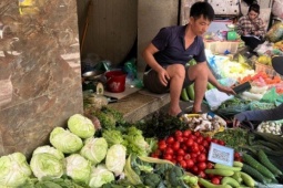 Bà nội trợ Hà Nội choáng với giá rau muống 20.000 đồng/bó