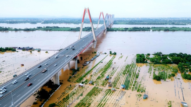 Nước sông Hồng dâng cao nhấn chìm vườn đào Nhật Tân, dân Hà Nội lo mất Tết - 2