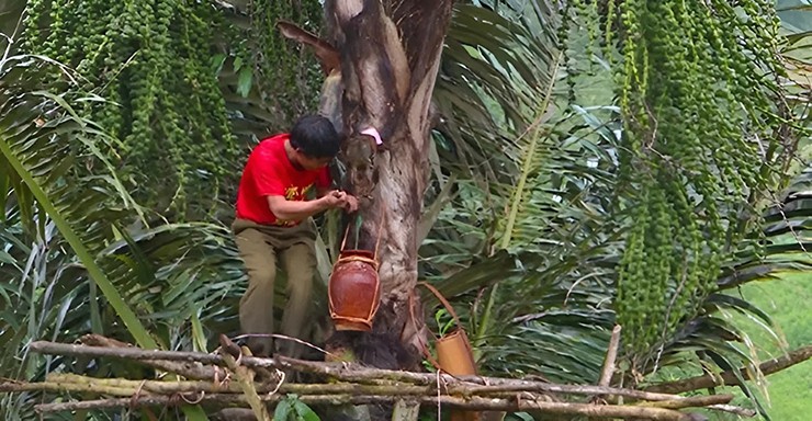 Giá rượu đoák dao động từ 60.000 – 150.000 đồng/lít. Nhiều du khách tới Gia Lai tìm mua thứ rượu quý này về làm quà cho người thân, bạn bè. Giá rượu đoák dao động từ 60.000 – 150.000 đồng/lít. Nhiều du khách tới Gia Lai tìm mua thứ rượu quý này về làm quà cho người thân, bạn bè.
