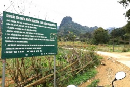 Tin tức trong ngày - Biên bản của kiểm lâm tiết lộ sự thật thông tin hổ xuất hiện ở Phú Thọ