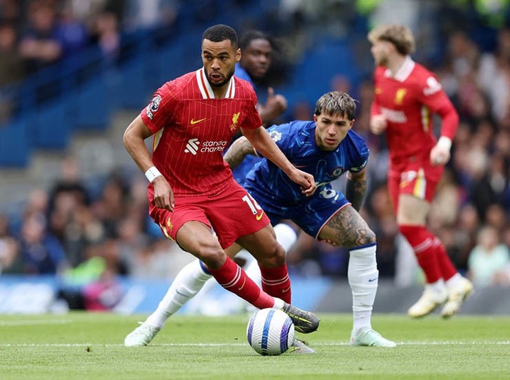 Chelsea và Liverpool so tài ở vòng 7 Ngoại hạng Anh