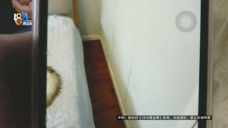 (Ảnh: Golden Eyes 1818)