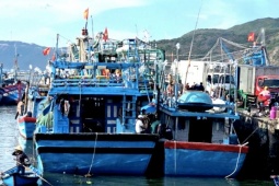 Tin tức trong ngày - Vụ tàu cá cùng 8 ngư dân Gia Lai mất tích: Tình tiết mới gây chú ý