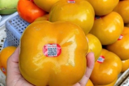 Thị trường - Tiêu dùng - Hồng Đà Lạt rẻ hơn hàng nhập, áp đảo chợ Việt