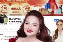 Thấy gì từ vụ Hoàng Hường bị bắt?
