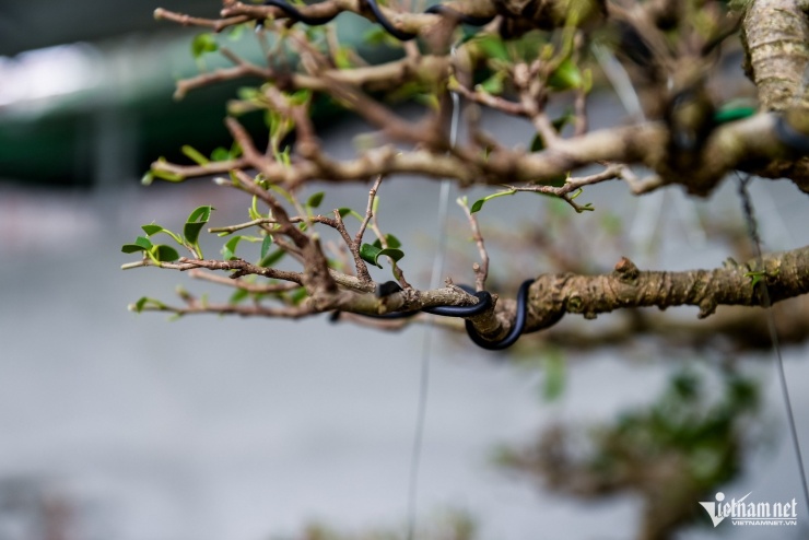 Mỗi nhát cắt, mỗi đường uốn đều được tính toán cẩn trọng.