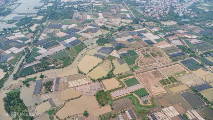 Tại phường Tây Tựu, nhiều ruộng hoa màu vẫn ngập úng, nước chưa thể tiêu thoát hết.