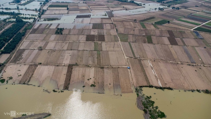 Cách Tây Tựu hơn 10 km, xã Mê Linh từ lâu được biết đến là vùng trồng rau củ nổi tiếng của Hà Nội, với phần lớn diện tích là bãi bồi ven sông chuyên canh nông sản. Sau một tuần ngập nước, nhiều khu bãi vẫn bị chia cắt, người dân phải dùng thuyền ra thăm đồng do nước chưa rút hết.