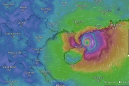 Bão số 11 Matmo áp sát, hàng loạt địa phương vào vùng nguy hiểm