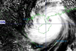 Bão số 11 mạnh lên, nâng mức cảnh báo gió trên đất liền