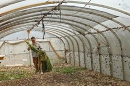 Thị trường - Tiêu dùng - Nghỉ việc về quê nuôi loài “siêu protein”, mỗi năm đút túi hơn nửa tỷ