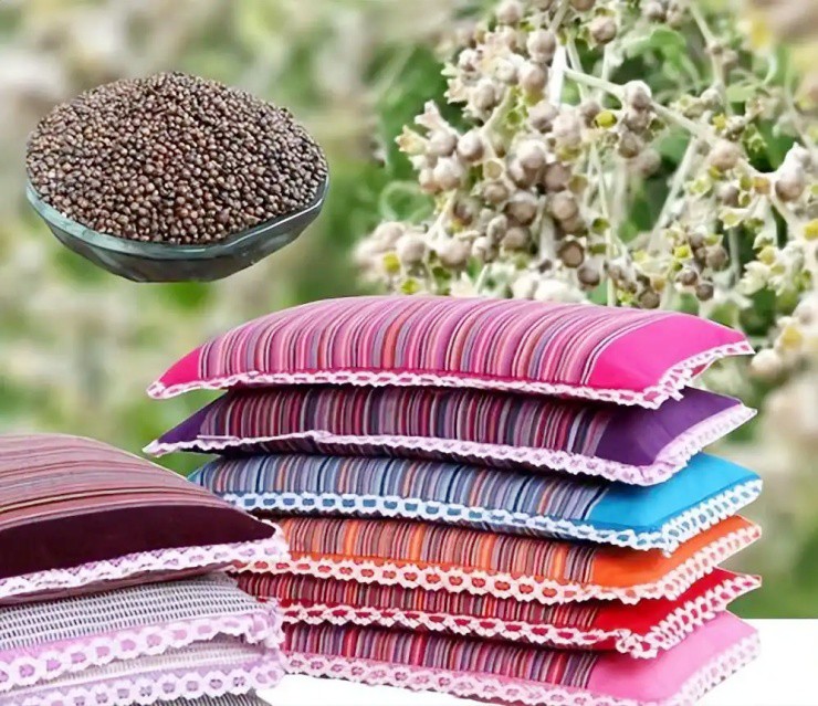 Cây dại xưa chỉ làm củi đốt, nay trồng làm bonsai bỗng “đắt như vàng” - 3