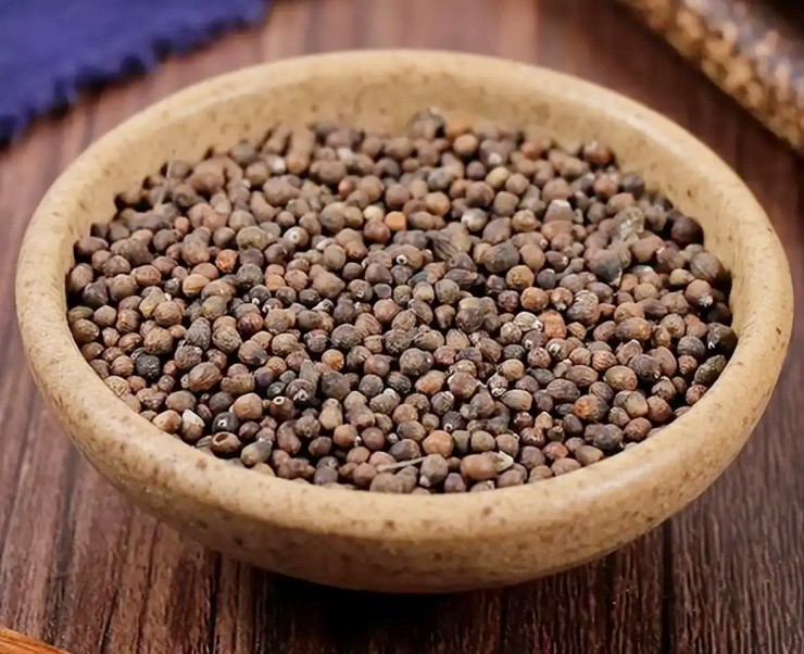 Cây dại xưa chỉ làm củi đốt, nay trồng làm bonsai bỗng “đắt như vàng” - 2