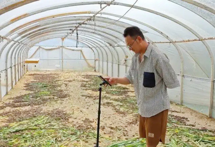 Nghỉ việc về quê nuôi loài “siêu protein”, mỗi năm đút túi hơn nửa tỷ - 2