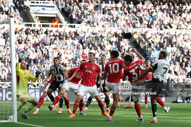 Trực tiếp bóng đá Newcastle - Nottingham Forest: Không có bàn danh dự (Ngoại hạng Anh) (Hết giờ) - 1
