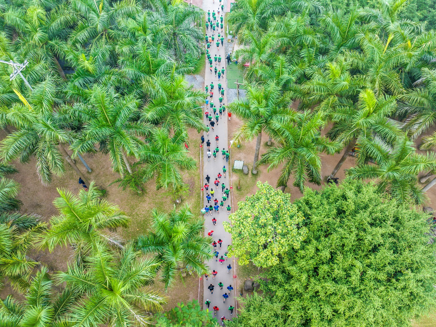 Trải nghiệm chạy giữa những miền xanh của nhà sáng lập Ecopark