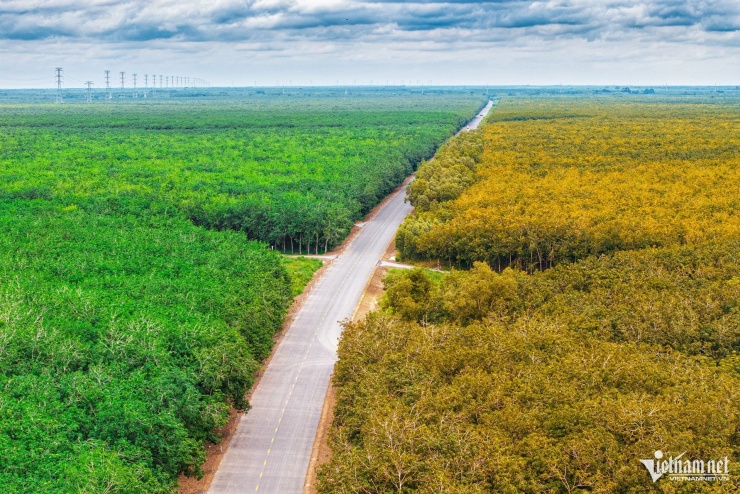 Vẻ đẹp say đắm lòng người của cung đường Hồ Chí Minh nhìn từ trên cao - 1