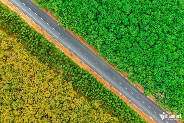 Vẻ đẹp say đắm lòng người của cung đường Hồ Chí Minh nhìn từ trên cao - 6