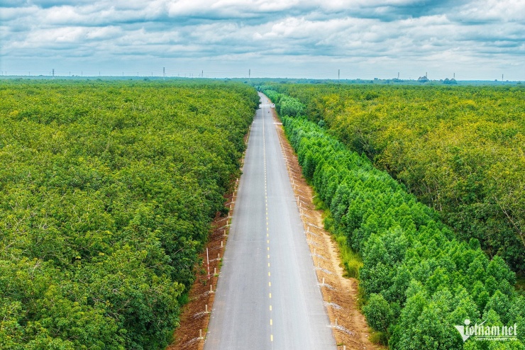 Vẻ đẹp say đắm lòng người của cung đường Hồ Chí Minh nhìn từ trên cao - 7