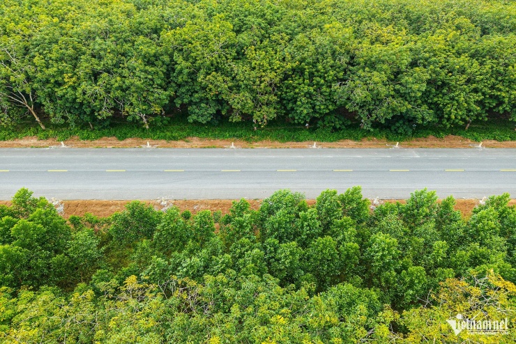 Vẻ đẹp say đắm lòng người của cung đường Hồ Chí Minh nhìn từ trên cao - 8