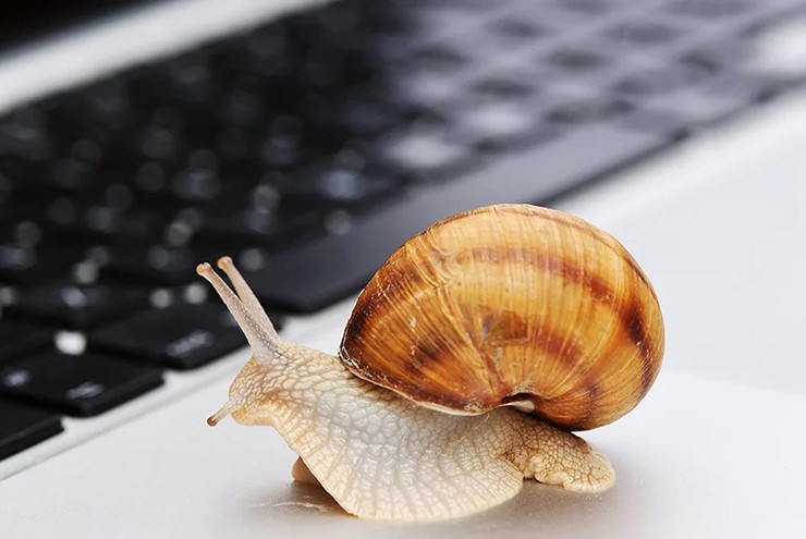 Máy tính Windows 10 và 11 có thể chậm vì hai tính năng có sẵn.