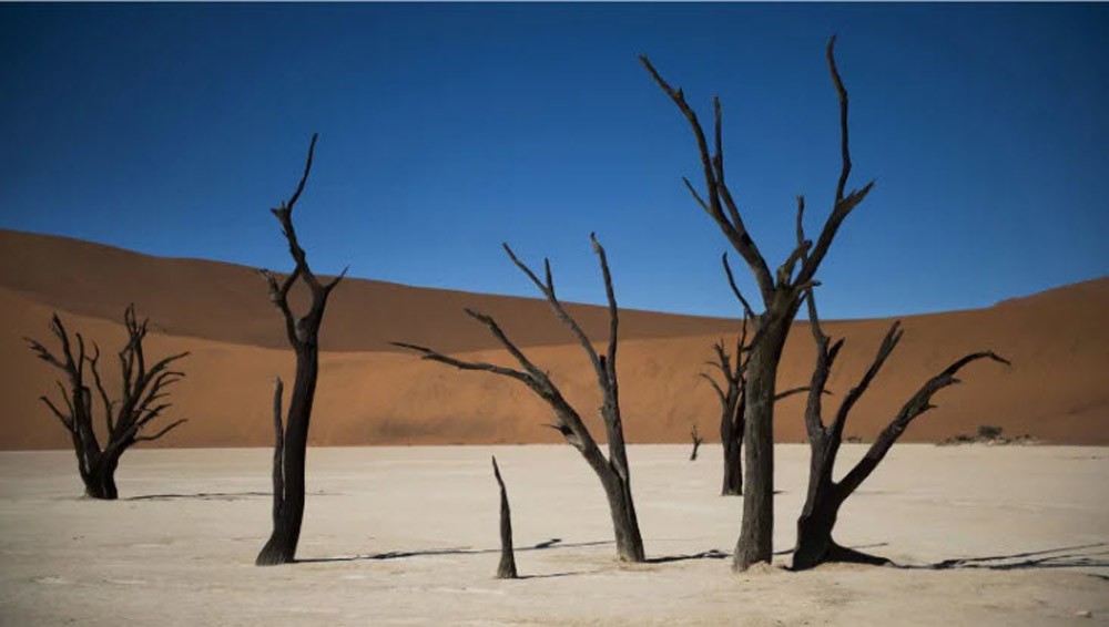 Dead Vlei - một trong những địa điểm hấp dẫn nhất ở Namibia. Ảnh: MARTIN BUREAU/AFP/Getty Images