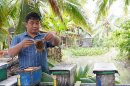 Thị trường - Tiêu dùng - Bỏ nghề IT về quê nuôi ong, chàng trai Cần Thơ kiếm tiền tỷ mỗi năm