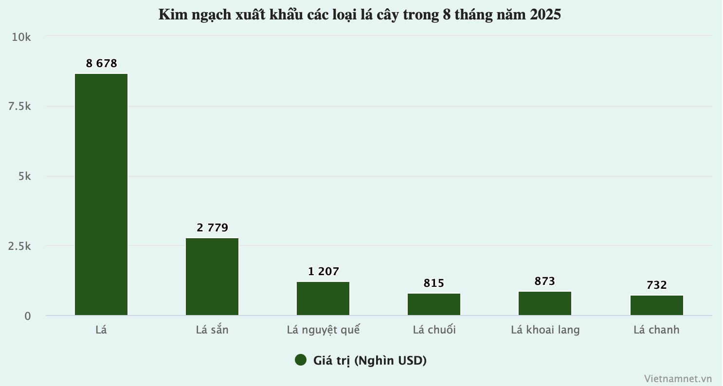 Chỉ bán lá cây cho khách nước ngoài, doanh nghiệp ‘ôm’ về 392 tỷ đồng - 1