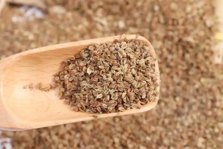 “Đào vàng” từ cây dại xưa cho lợn ăn, ở Việt Nam mọc đầy - 3