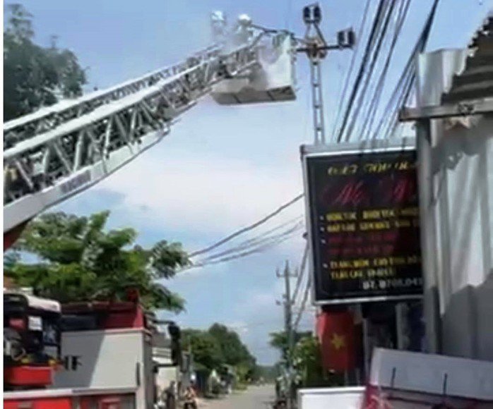 Công an tỉnh Quảng Ngãi xử lý tổ ong vò vẽ tấn công nhiều người dân, học sinh