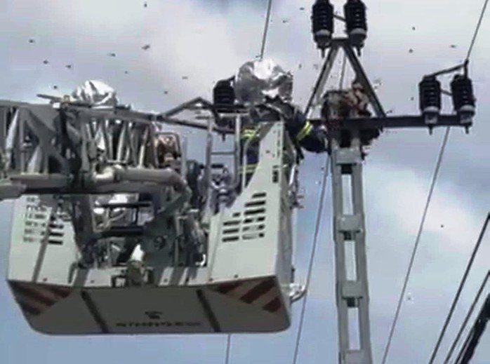 Lực lượng chức năng xử lý tổ ong vò vẽ tấn công nhiều người dân, học sinh