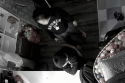 Tin tức trong ngày - Công an Hà Nội thông tin về vụ "bức tâm thư kêu cứu" của bé trai về việc bị mẹ kế bạo hành