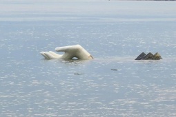 Tin tức trong ngày - Tượng bàn tay ‘chới với’, biển Hải Tiến tan hoang