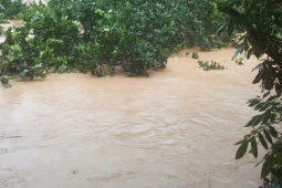 Bạn trẻ - Cuộc sống - Người phụ nữ Thái Nguyên lên mạng cầu cứu