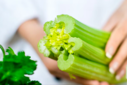 Ẩm thực - 4 loại rau được mệnh danh là 'vua nhuận tràng', ăn 3 lần/tuần để làm sạch ruột, loại bỏ mỡ thừa, giữ gìn sức khỏe