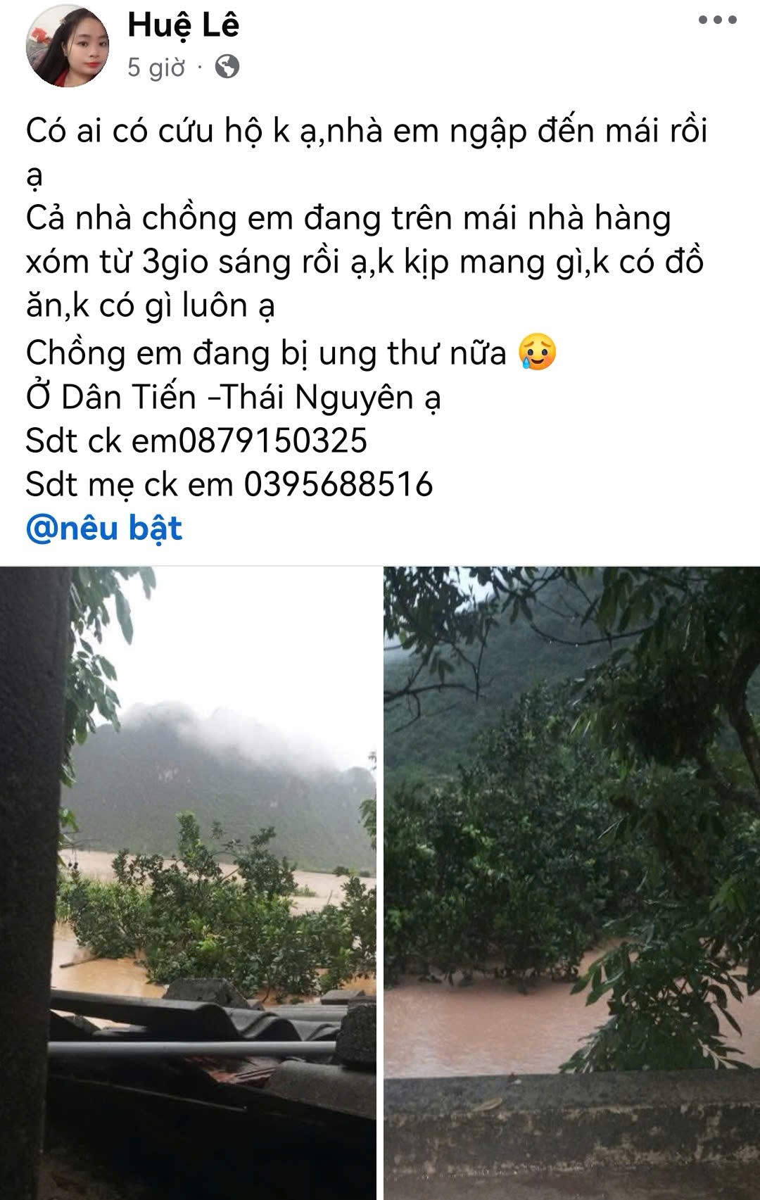 Chị Huệ lên mạng cầu cứu sự giúp đỡ.