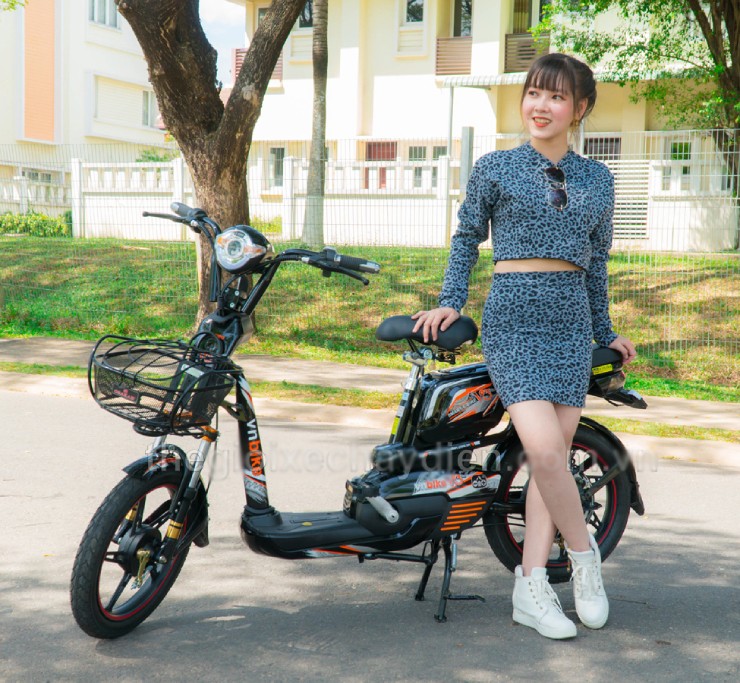 Giá xe đạp điện Vnbike mới nhất đầu tháng 10/2025 - 1