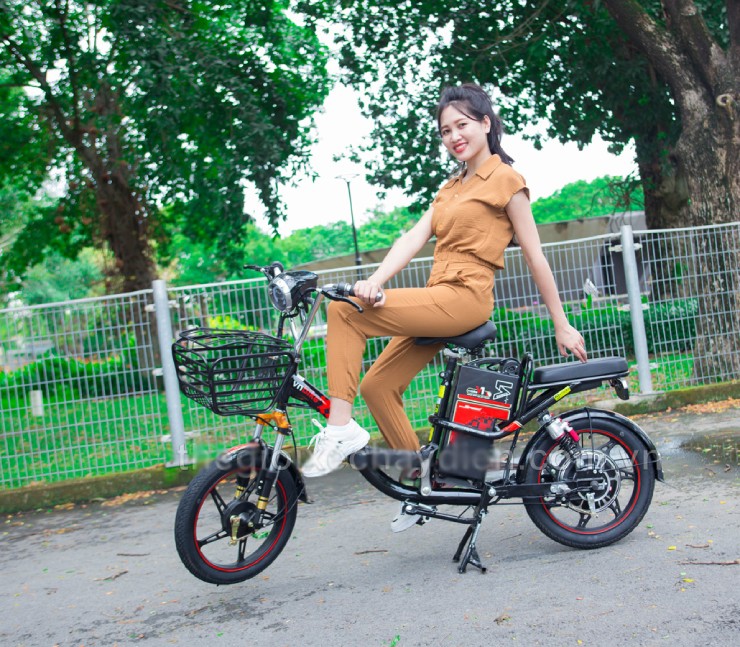 Giá xe đạp điện Vnbike mới nhất đầu tháng 10/2025 - 2