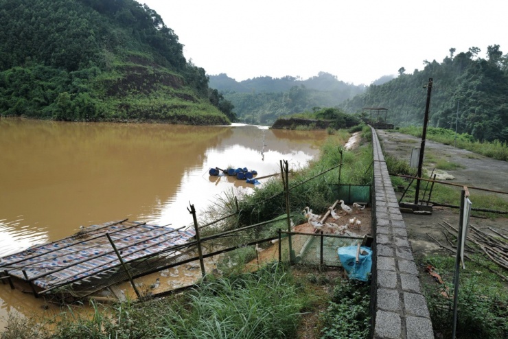 Hiện một số hộ dân tận dụng lòng hồ thủy điện để nuôi cá lồng và vịt.