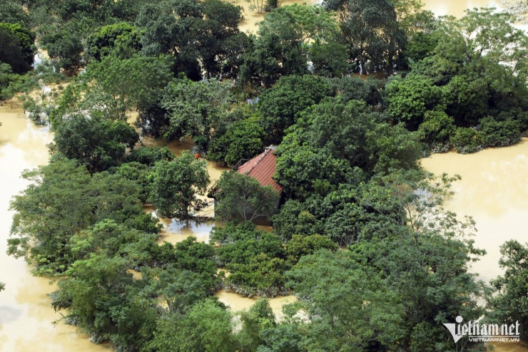 Ông Vũ Văn Thịnh, Bí thư Đảng ủy xã Yên Bình, cho biết Yên Bình là một trong những địa phương chịu ảnh hưởng nặng nề nhất do bão Matmo. Toàn xã có tới 747 hộ dân thuộc 15 thôn bị cô lập hoàn toàn bởi nước lũ, cho thấy mức độ tàn phá khủng khiếp của cơn bão. Trước tình hình nguy cấp, chính quyền địa phương đã phải di dời khẩn cấp, đưa 300 hộ gia đình với 200 nhân khẩu đến nơi an toàn.