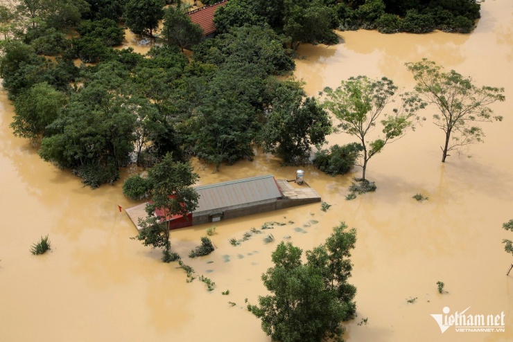Tuy nhiên, thiệt hại về kinh tế, đặc biệt là nông nghiệp của người nông dân khá lớn. Theo báo cáo sơ bộ, toàn xã Yên Bình có 139,5ha lúa bị ngập úng hoàn toàn, 31ha bị đổ rạp; ngô bị thiệt hại khoảng 35,5ha; ngoài ra còn có nhiều hecta các cây ăn quả, hoa màu, rau màu cũng bị chung số phận.