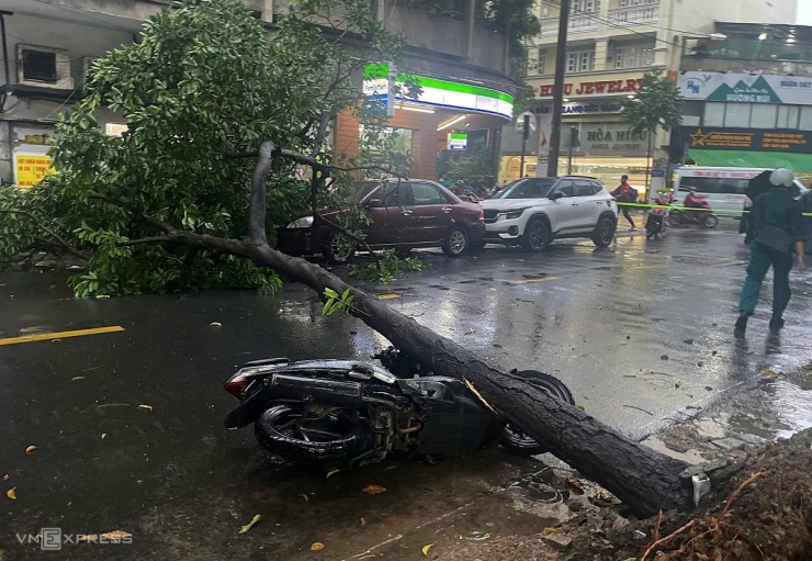 Giông lốc làm cây cao khoảng 5 m ở đường Nghĩa Thục, phường An Đông (quận 5 cũ) đổ đè xe máy và ôtô, may mắn tài xế không bị thương.