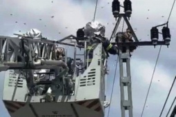 Tin tức trong ngày - Bị tổ ong vò vẽ trên trụ điện cao thế tấn công, nhiều người dân bỏ chạy tán loạn