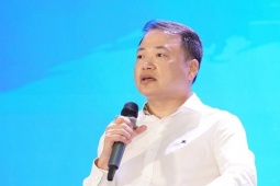 Kinh doanh - Các doanh nghiệp của Shark Bình hiện có quy mô thế nào?