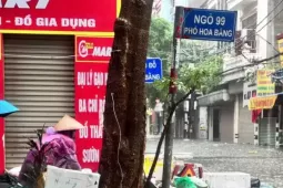 Sức khỏe đời sống - Cách nào để tránh bị ghẻ, nấm da sau đợt mưa lũ?