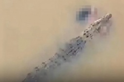 Bạn trẻ - Cuộc sống - Người phụ nữ bị cá sấu lôi xuống sông khi đang tắm