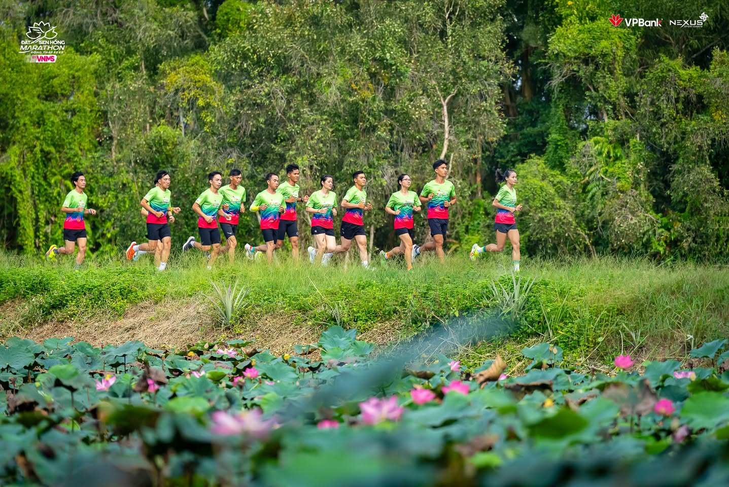 VPBank Đất Sen Hồng Music Marathon 2025 là sự kiện thể thao, văn hóa tâm điểm của Đồng bằng Sông Cửu Long.