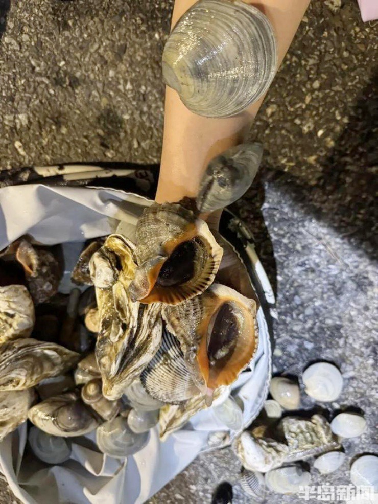 Ảnh: Bandao Dushi News